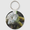 Search for iguanas key rings South america