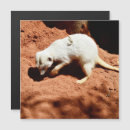 Search for bug business stationery Animal