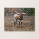 Search for longhorn puzzles Texas