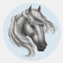 Search for dappled Stallion