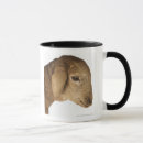 Search for domesticated mugs Animals