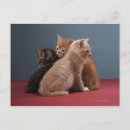Search for affectionate postcards Togetherness