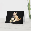 Search for orange bear cards Teddy