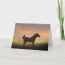 Search for arabians cards Equine