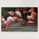 Search for flamingo puzzles Pink