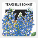 Search for texas blues stickers Floral