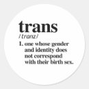 Search for trans pride stickers Identity