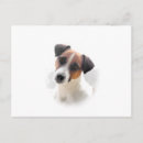 Search for dog note postcards Pet