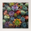 Search for succulent puzzles Colourful