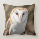 Search for barn owl cushions Animal
