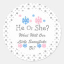 Search for dec stickers Snowflake