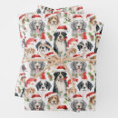 Search for santa claus wrapping paper Pattern
