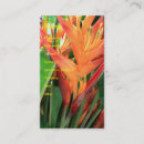 Search for hawaiian business cards Hibiscus