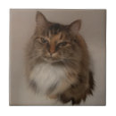 Search for calico cat gifts Cats