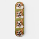 Search for photo skateboards Dog