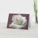 Search for passion cards Rose