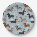 Search for dachshund plates Puppy