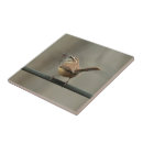 Search for springtime tiles Animal