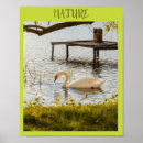Search for mallard duck painting posters Wildlife