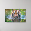 Search for tiger art Home