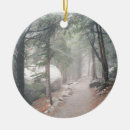 Search for rocky mountain christmas tree decorations Mountains