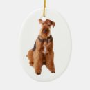 Search for airedale christmas tree decorations Animal