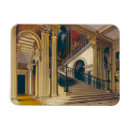 Search for buckingham magnets After