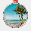 Search for snow boarding christmas tree decorations Ocean