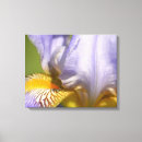 Search for iris flowers canvas prints Purple