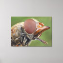 Search for hover posters Biology