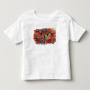 Search for denali national park tshirts Alpine
