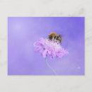 Search for bee postcards Flower