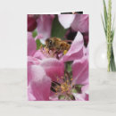 Search for you are special birthday cards Flowers