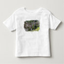 Search for european clothing England