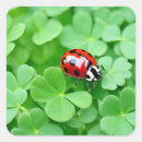 Search for red and green ladybug stickers Ladybird