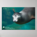 Search for smithsonian posters Animals