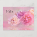 Search for carnation postcards Pink