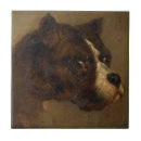 Search for dog breeds tiles Bulldog