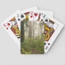 Search for sempervirens California
