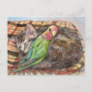 Search for buddies postcards Cat