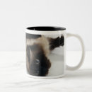 Search for himalayan mugs Animal
