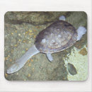 Search for neck mousepads Reptile
