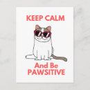 Search for cool quotes postcards Cat lover