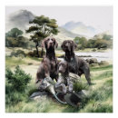 Search for german shorthaired pointer posters Gsp