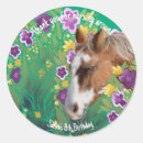Search for appaloosas stickers Equestrian