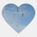 Search for seagull flying stickers Seagulls