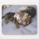 Search for friendship mousepads Togetherness