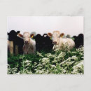 Search for wiltshire postcards England