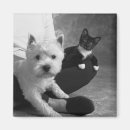 Search for sharing photography Cute