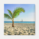 Search for palm tree magnets Island